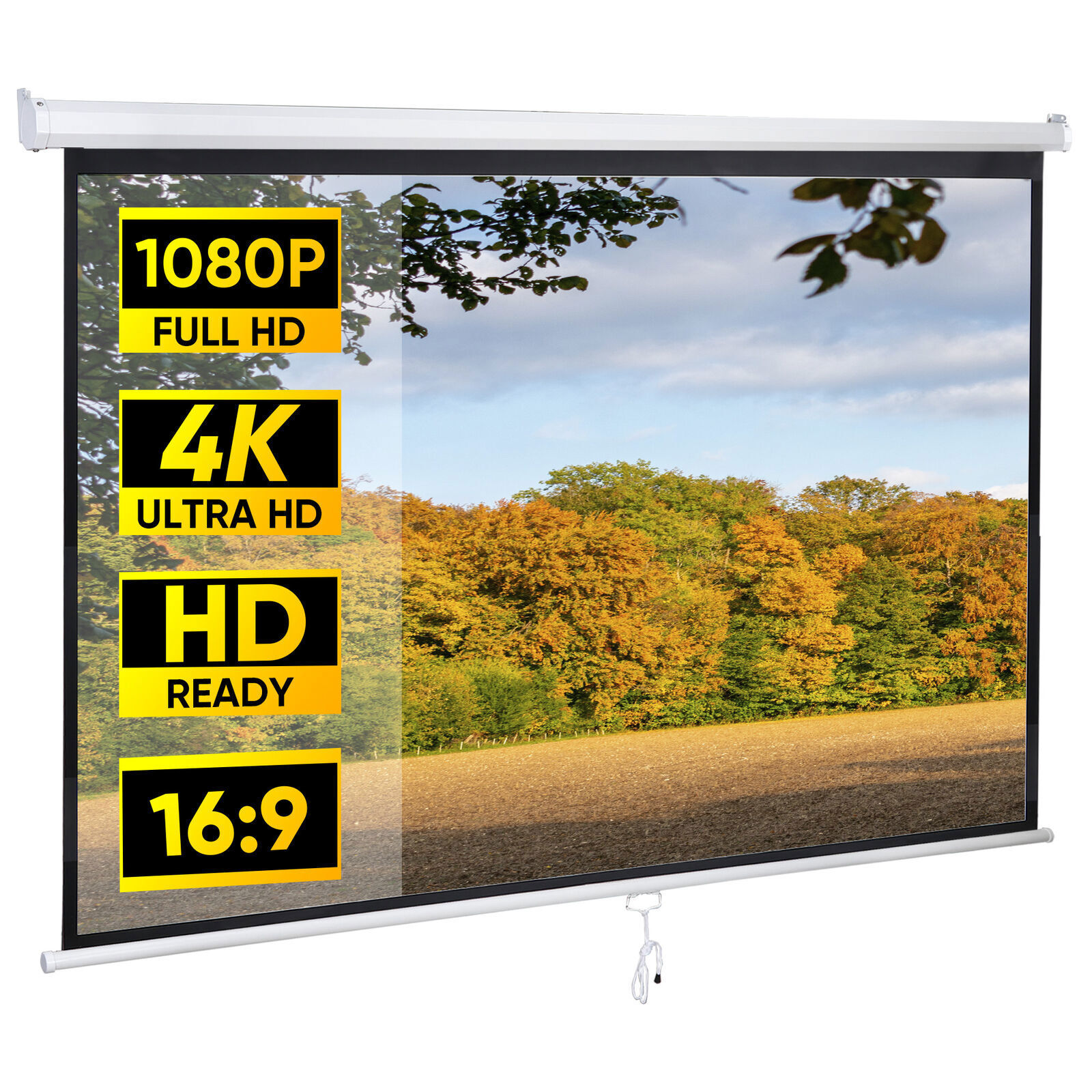 80" Manual Pull Down Projector Screen 3D Vivid Viewing Wall & Ceiling Mounted