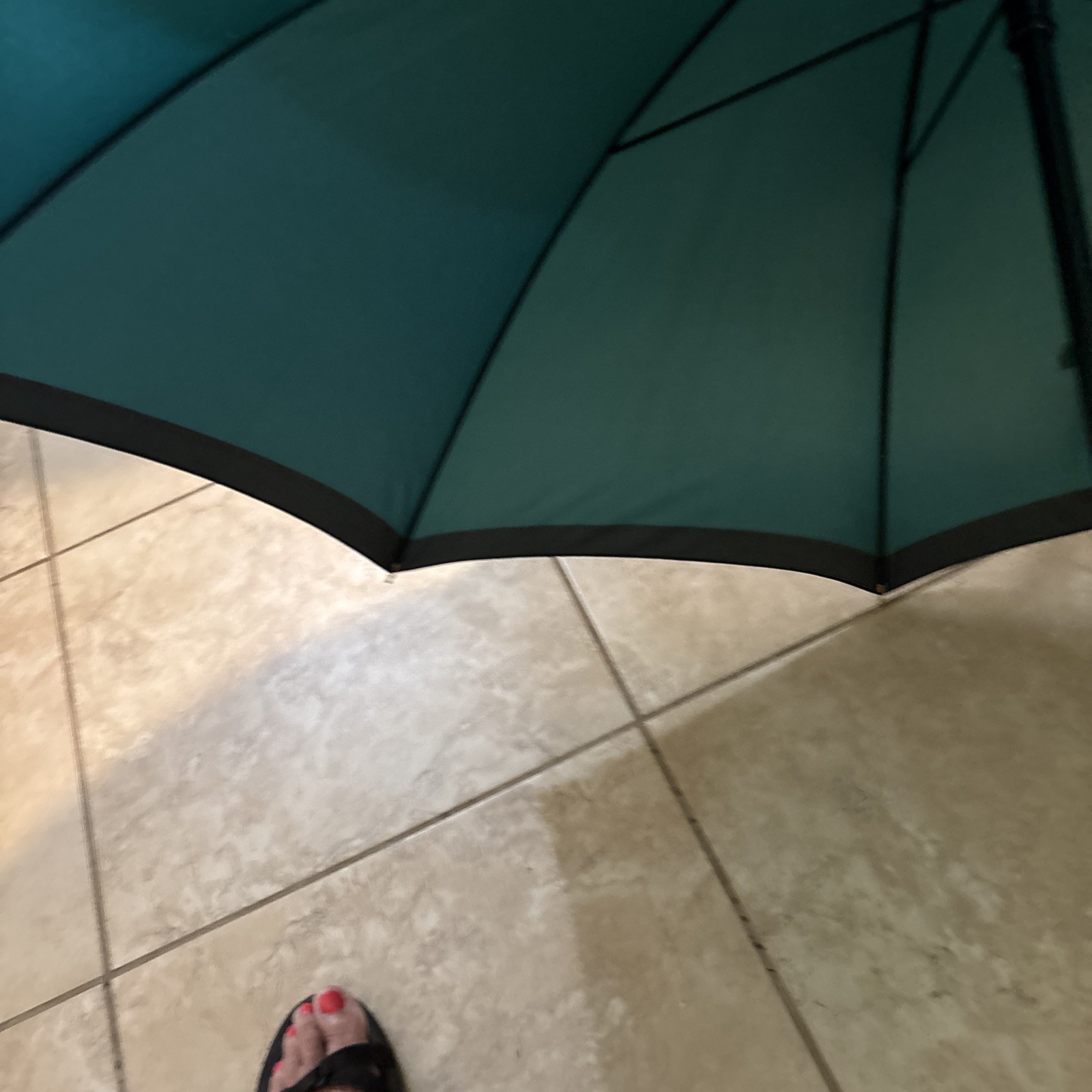 Tsar Umbrella Vintage Green Rare