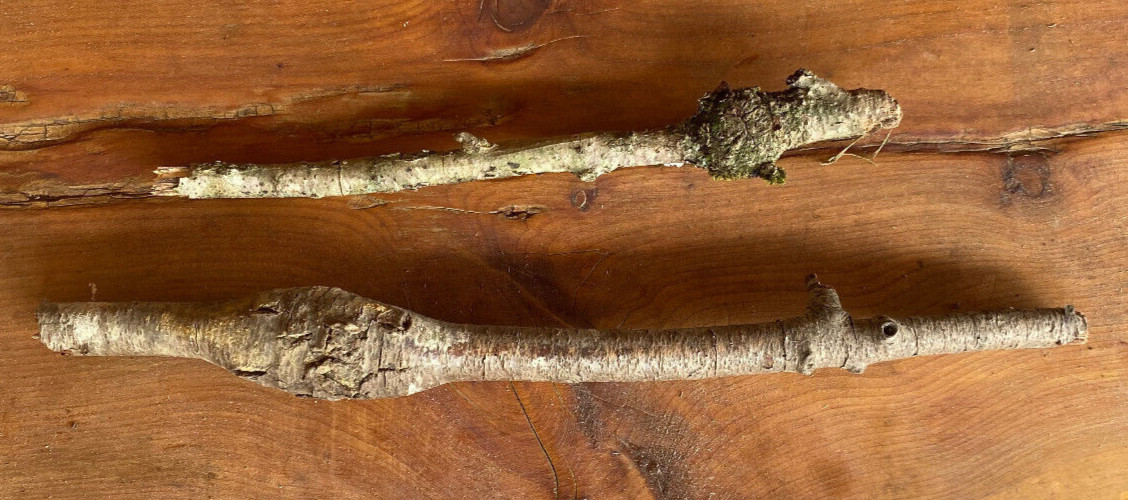 2 Real Wood Burls Carving, Working, Decoration, Decor, Terrarium, Aqarium, Fish