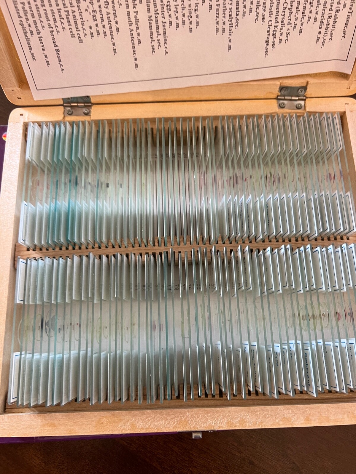 Amscope microscope set