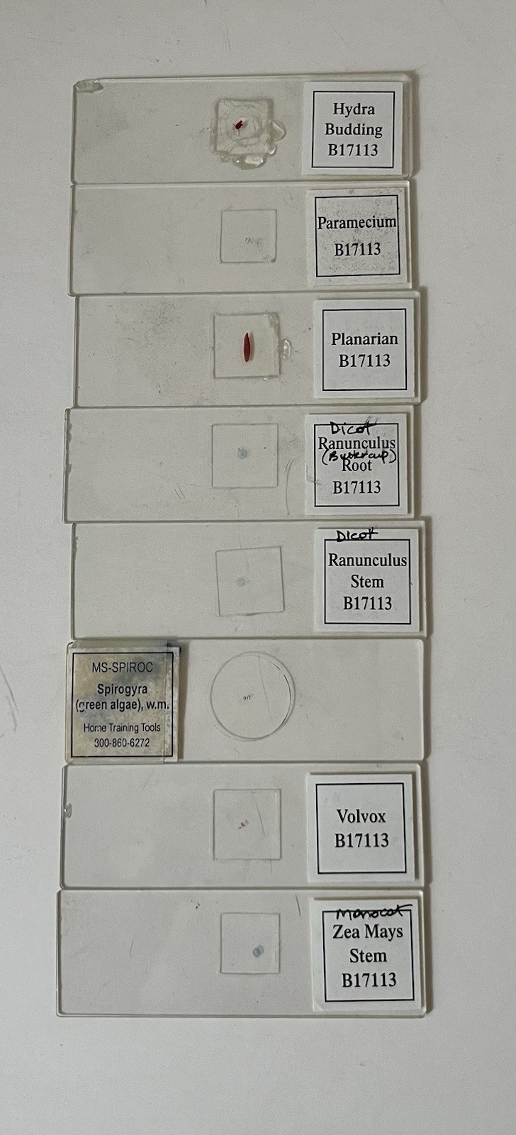 Apologia Biology Microscope Incomplete Slide set 1 & plastic case 15 slides GUC