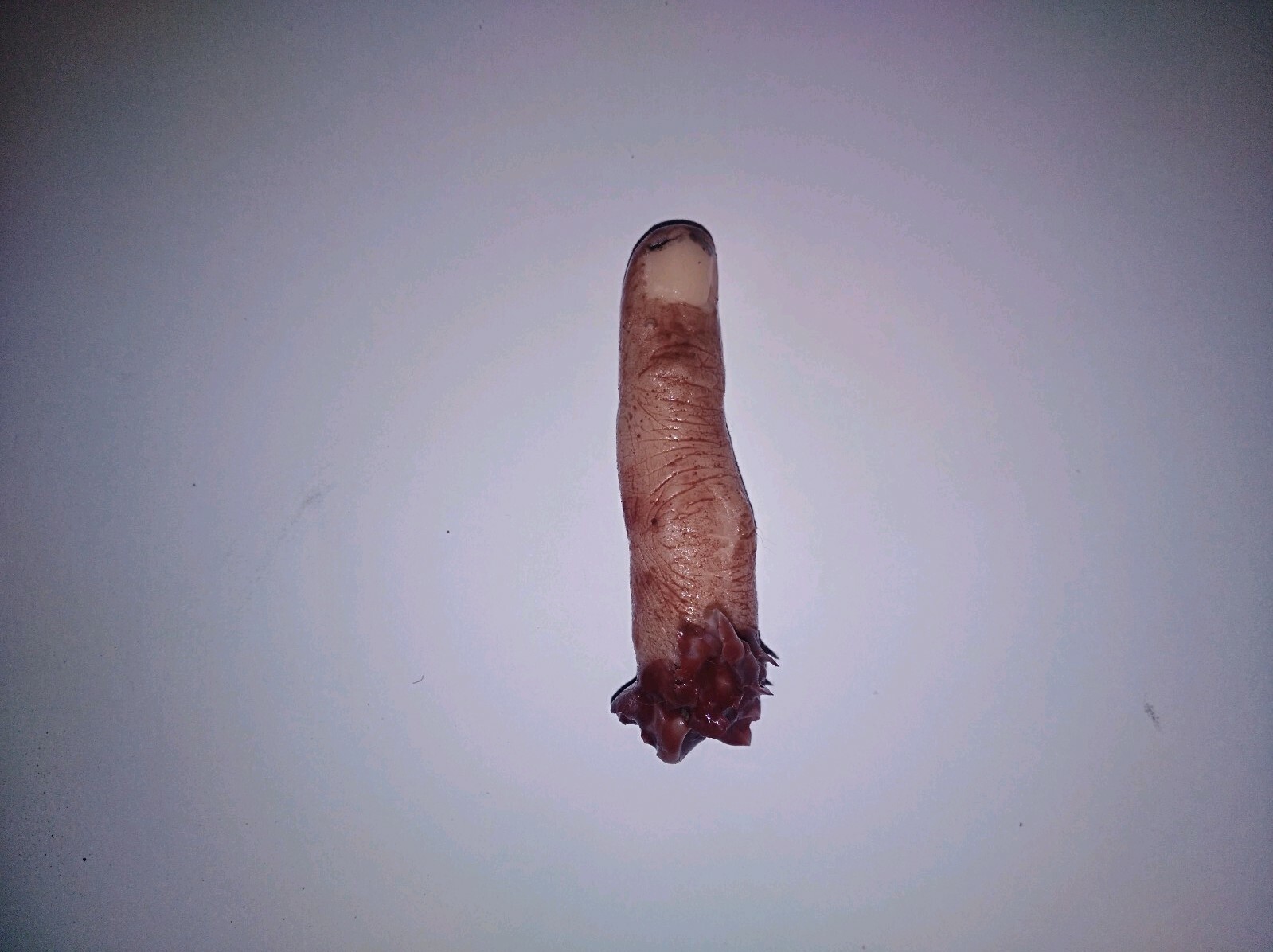 Horror movie prop silicone severed pinky finger film quality gore splatter spfx