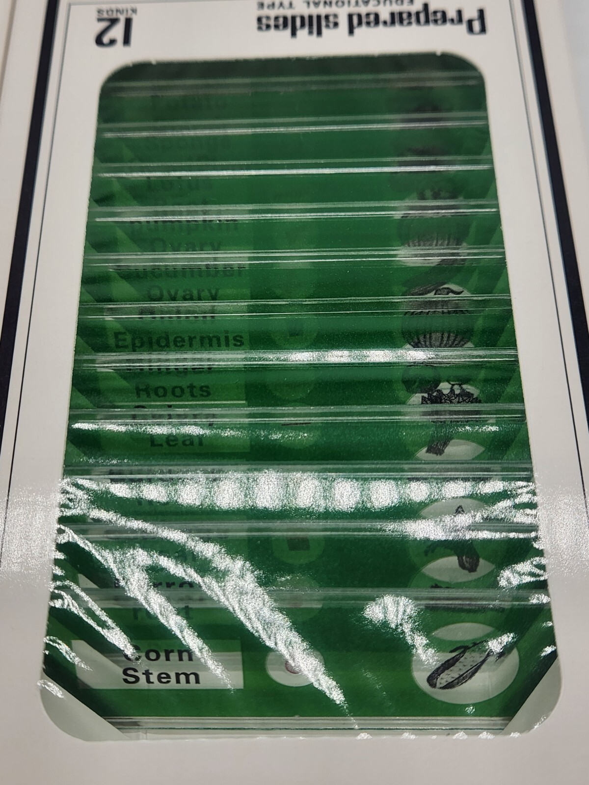 DIY-Science Prepared‎ Slides Educational Type - 48 Plastic Microscope Slides