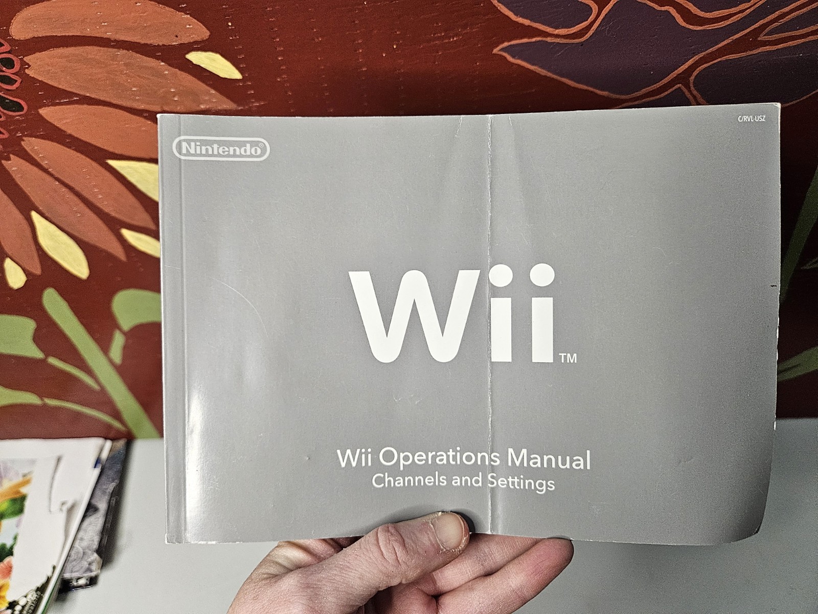 Nintendo Wii Operations Manual Channels and Settings Booklet