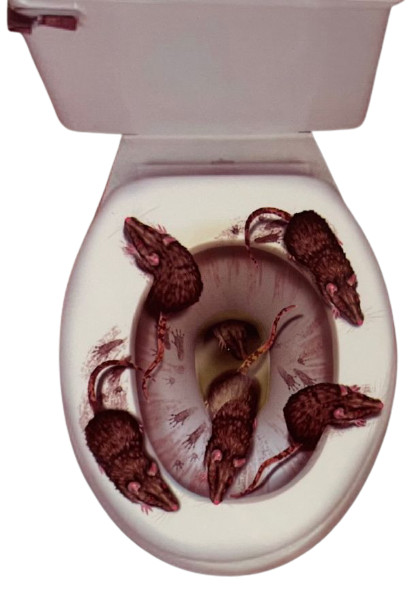 Funny TOILET SEAT RAT STICKER Decor Bathroom Lid Gag Joke Prank Halloween Decal