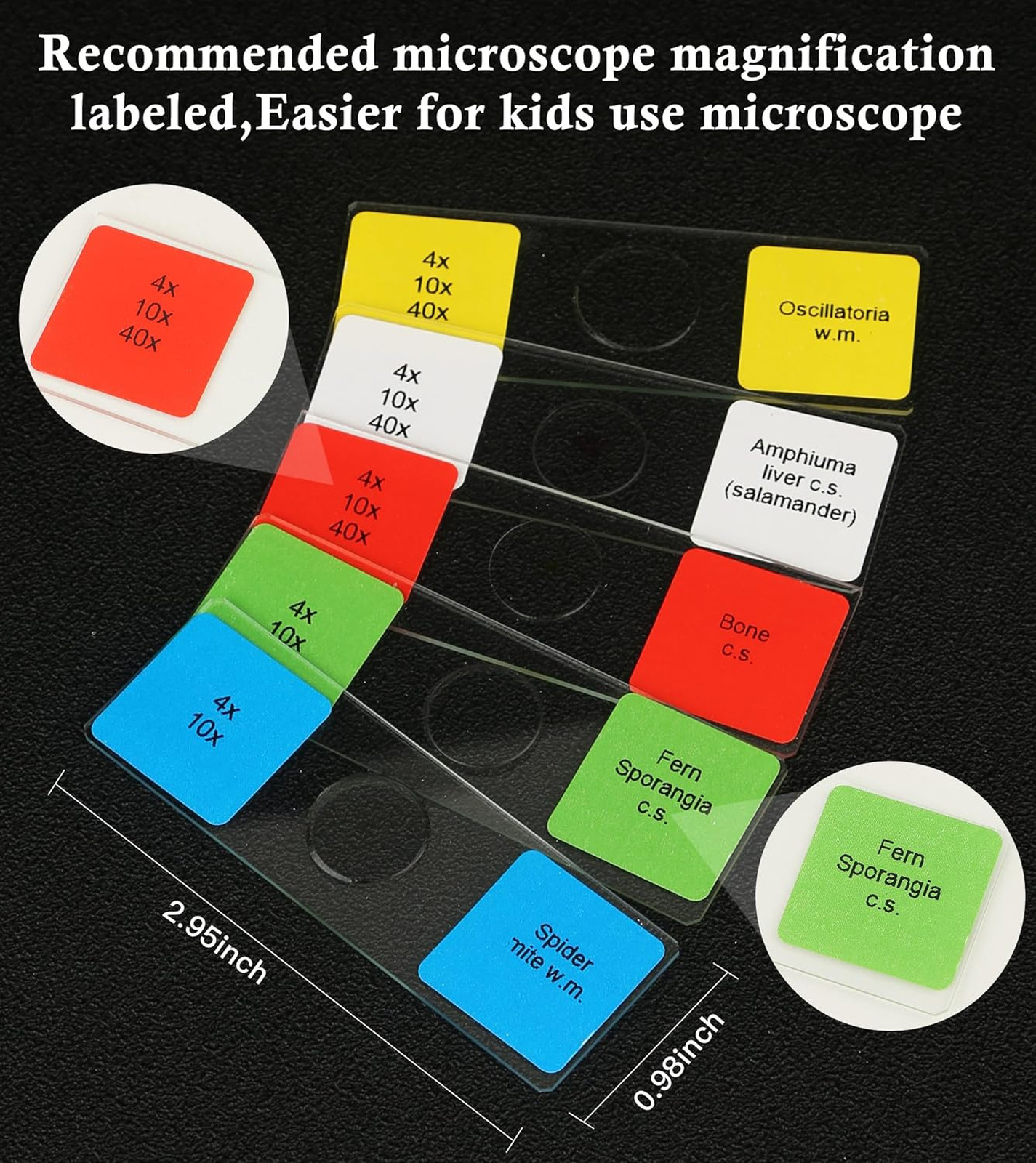 120 Microscope Slides with Specimens Set, Lab-Grade Prepared Microscope Slides