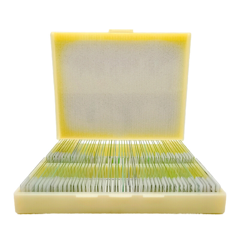 200pcs Animal Insect Plant Tissue Microscope Prepared Slides Set