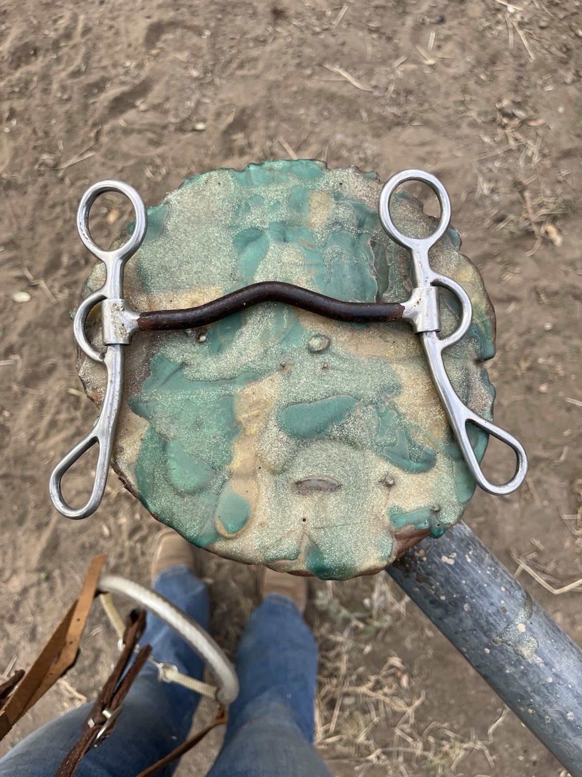 Metal Reining Bit With Slight Curve