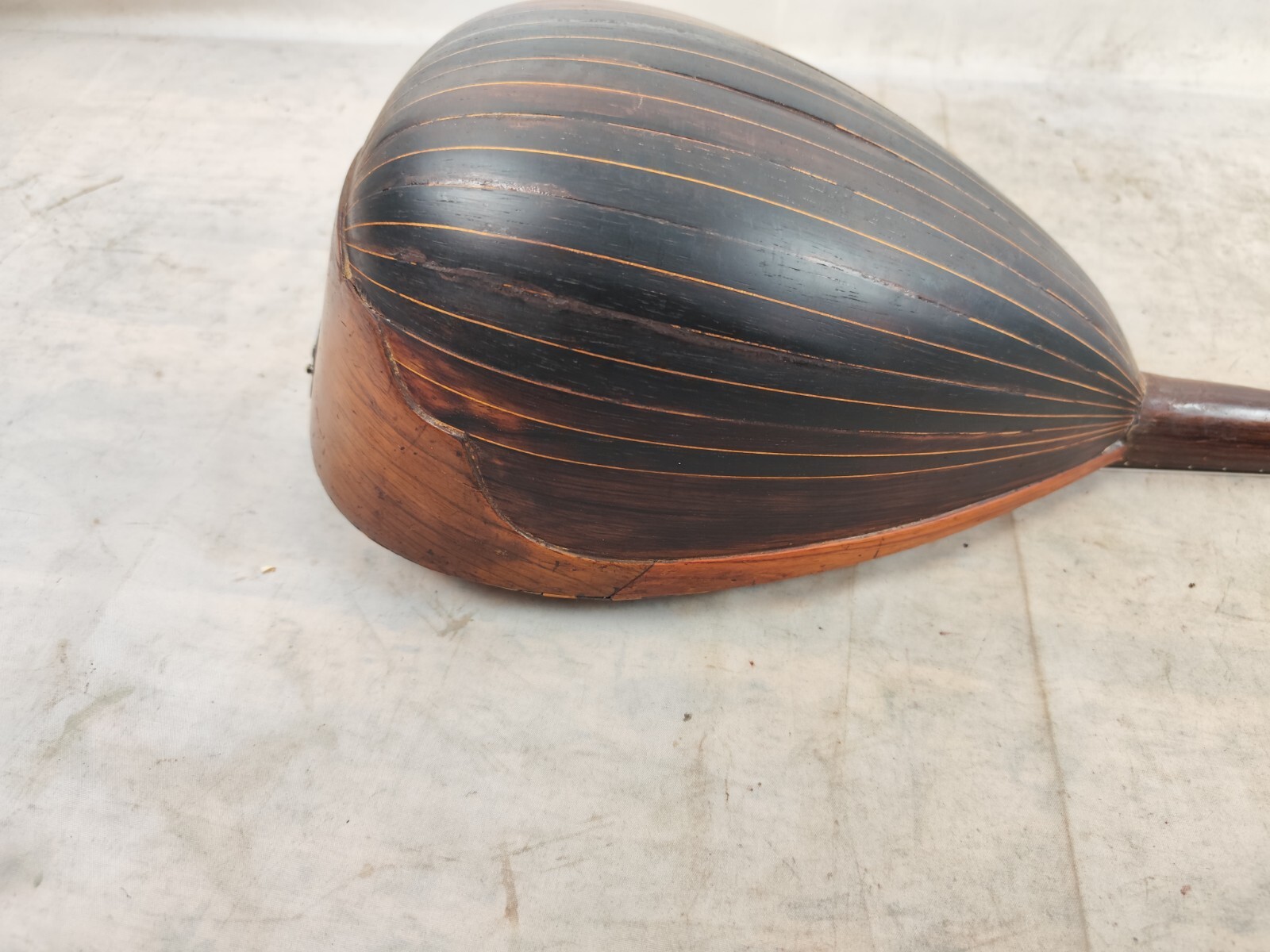 Mandolin 4/4 Strident 1930 Naples 曼陀林 만돌린マンドリン