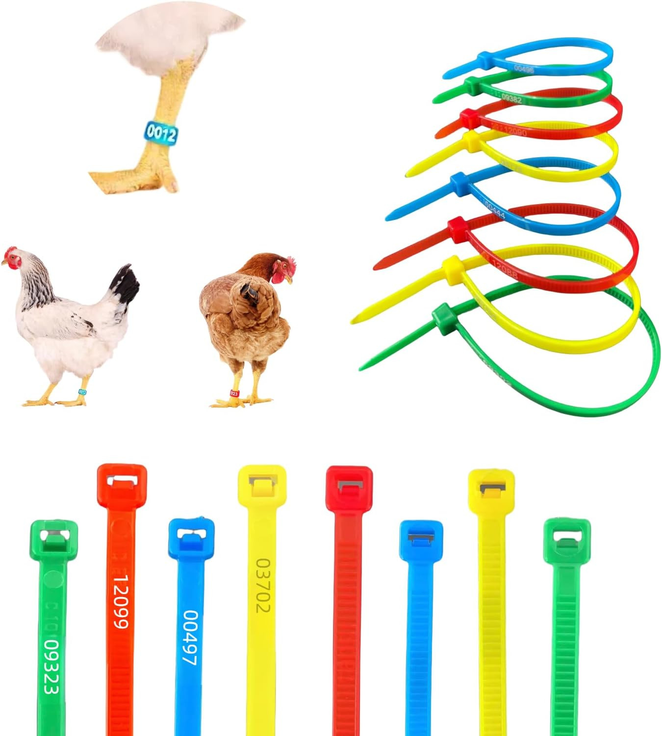 High - Quality 140Pcs Poultry Leg Bands Chicken Leg Bands: Laser - Engraved a...