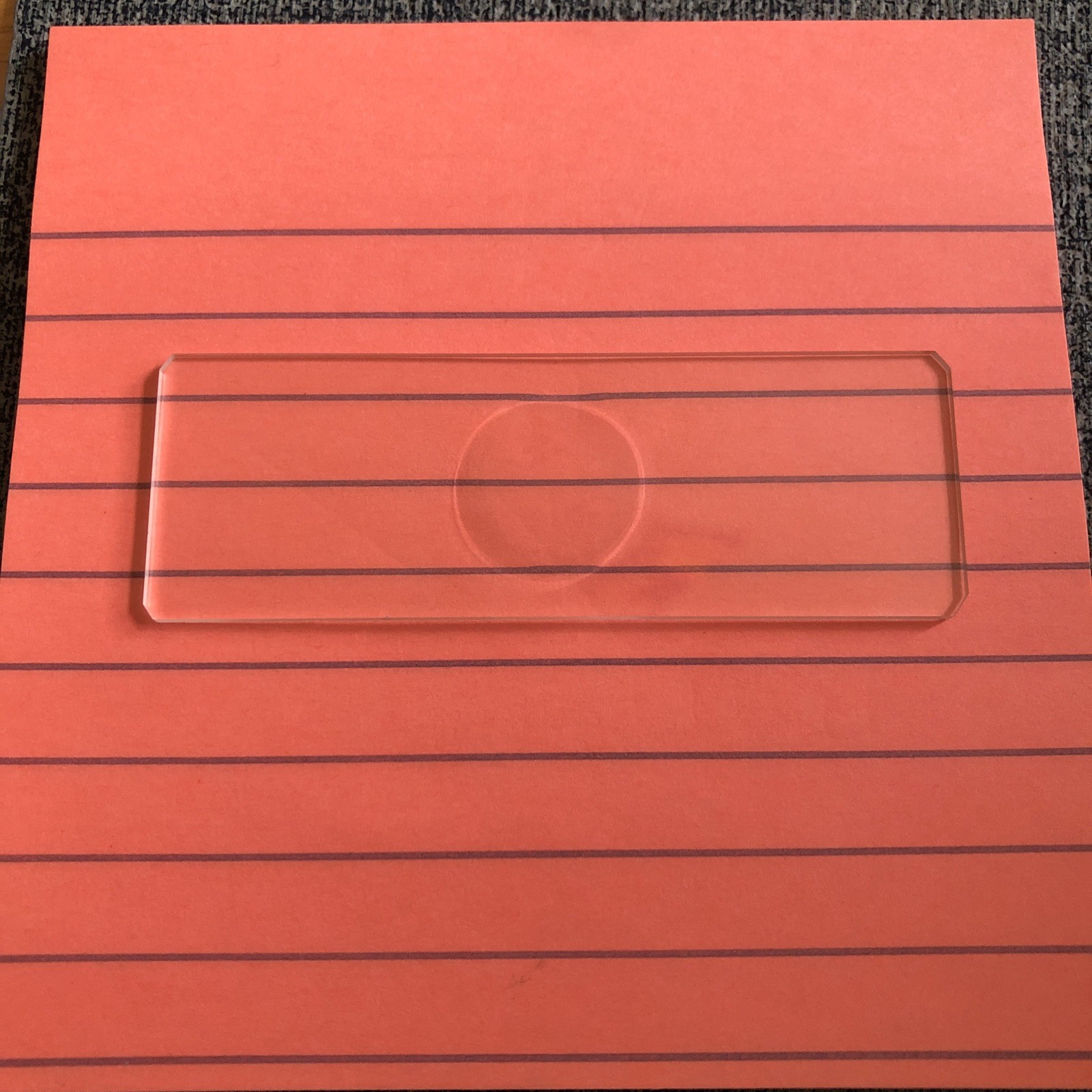 3”x1” Microscope Depression Slide