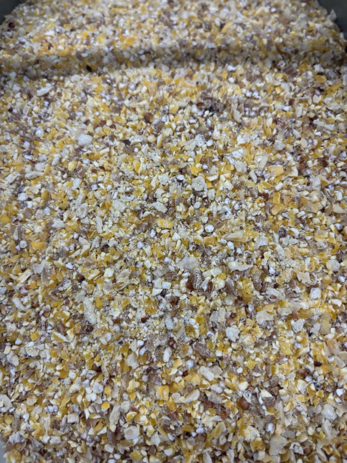 5LB Chick Scratch Corn, Milo, And Wheat For Young Chicks. Great For A Treat