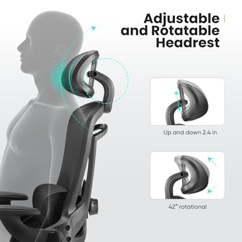Office Chair Ergonomic Desk Chair, 300 LBS Home Mesh Dark Black With Headrest