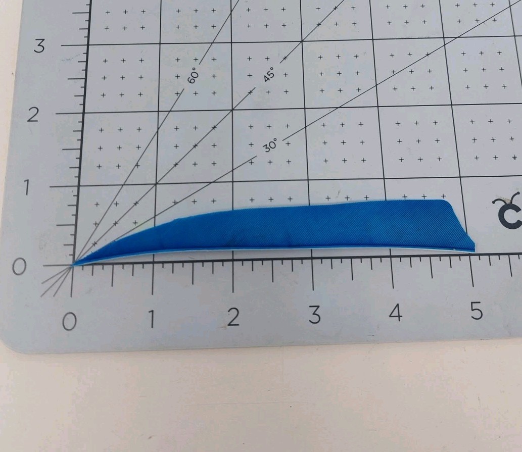 100 Pack Archery Arrow Feathers 5" Left Wing: Shield Turquoise Blue