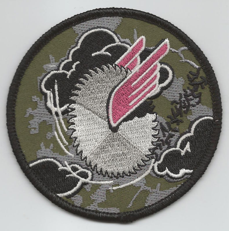 41st FLYING TRAINING SQUADRON patch
