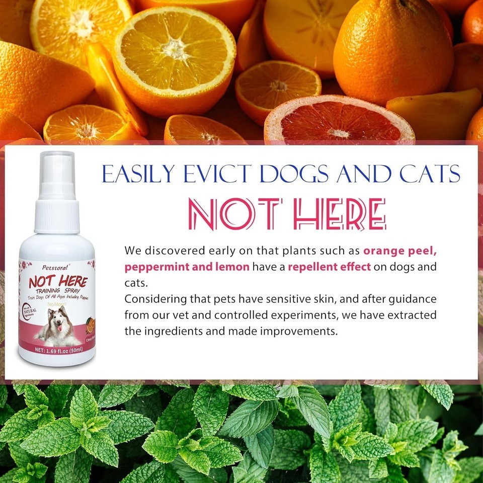 Dog Not Here & Here Potty Training Spray Kit, Puppy Essentials. Pee Here Corr...
