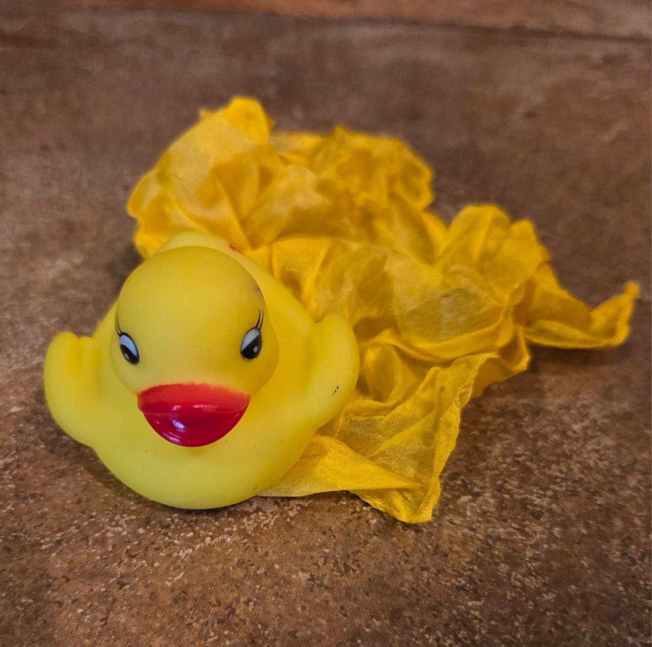 Duck and Silk Magic Mentalism Tricks