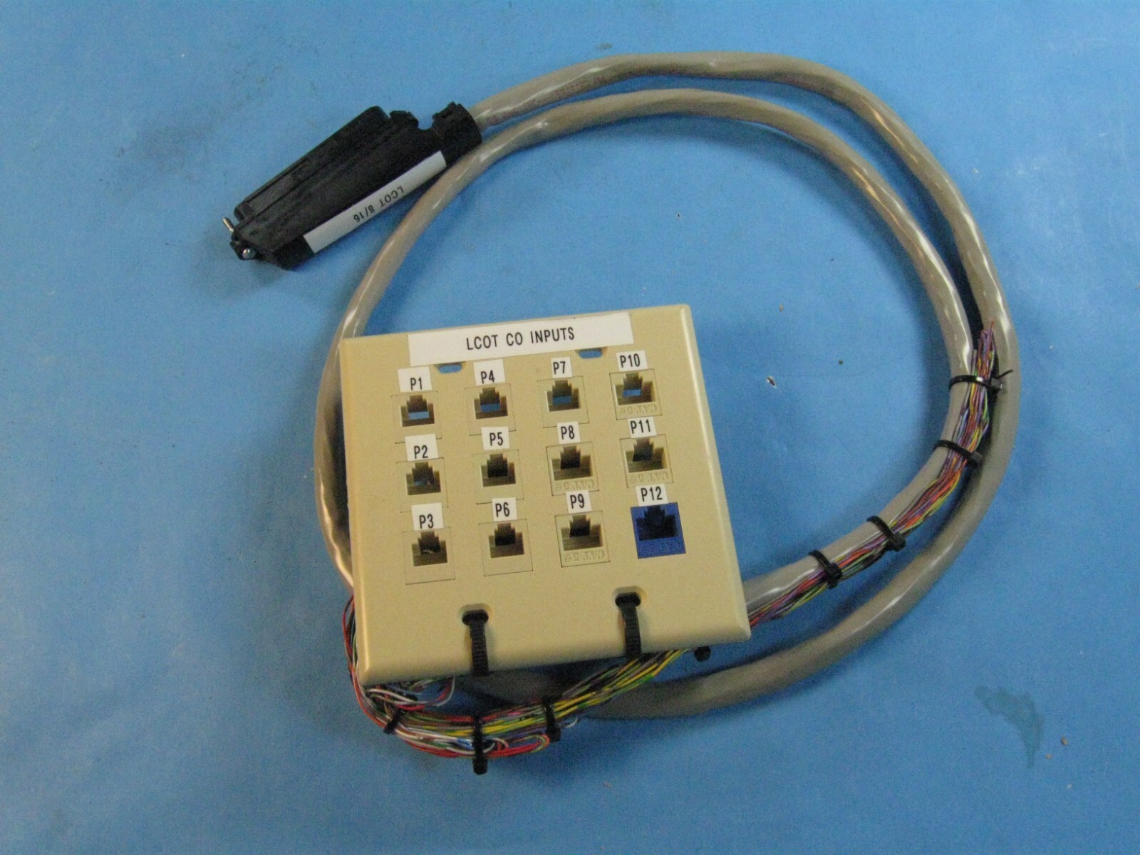PANASONIC  KX-TDA or KX-TDE breakout connector. Using 12 RJ-45 Length 42 inches.