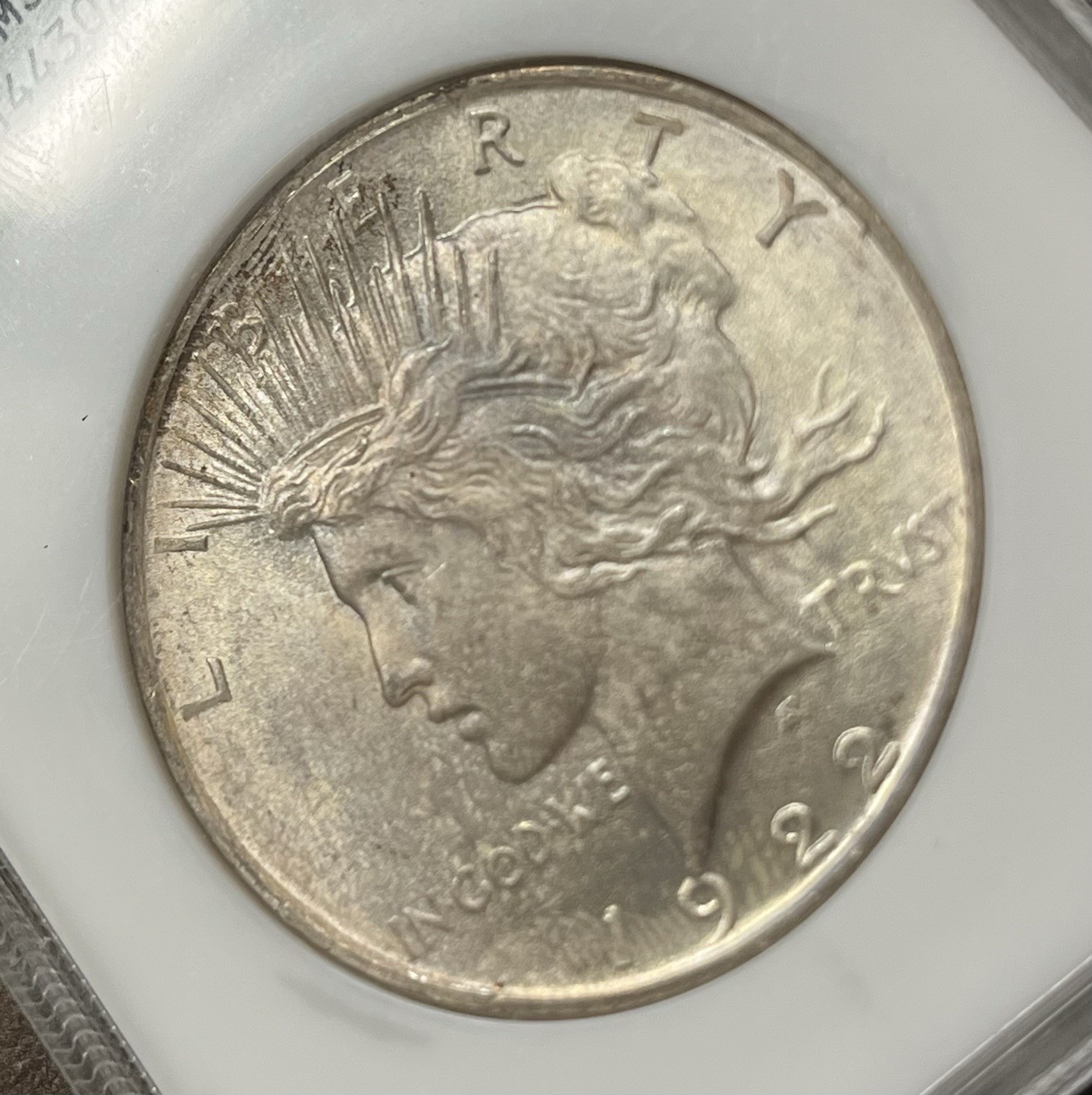 Old NGC Fatty Holder MS64 1922-P Peace Silver Dollar