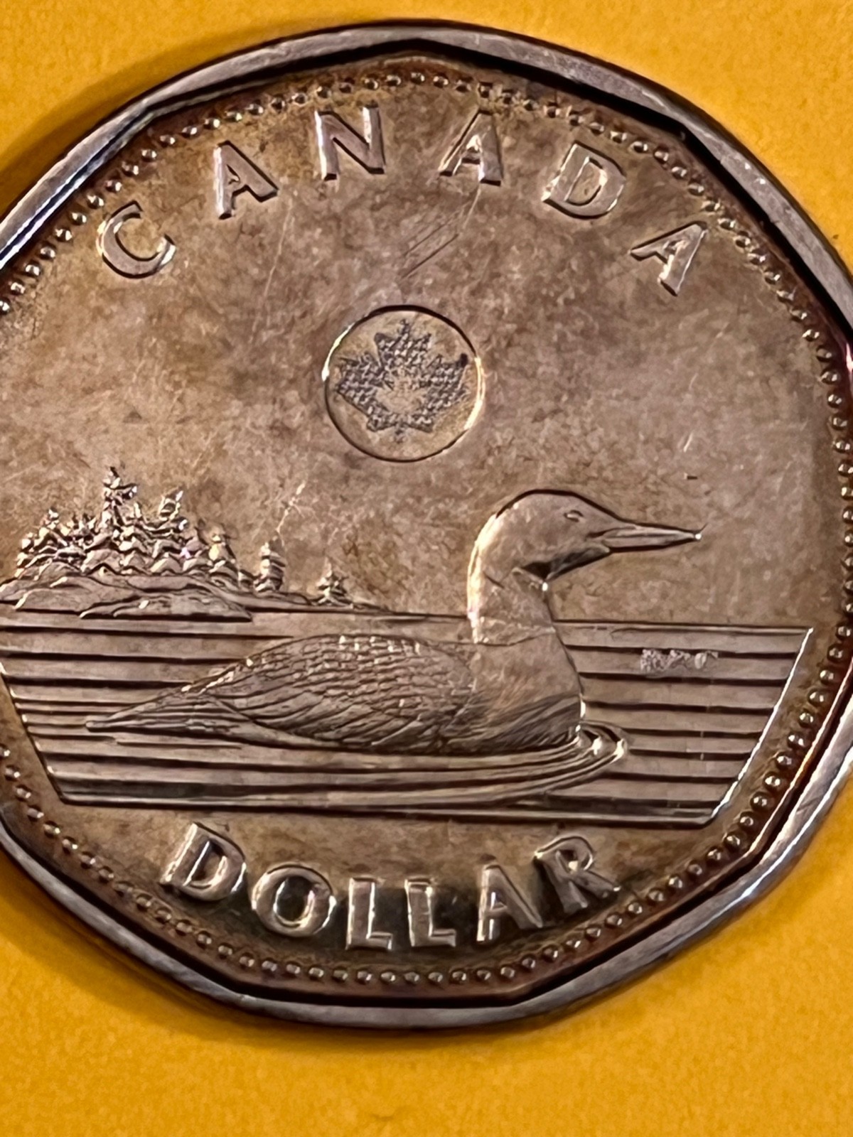 COIN CANADA 2012 DOLLAR FREE SHIPPING