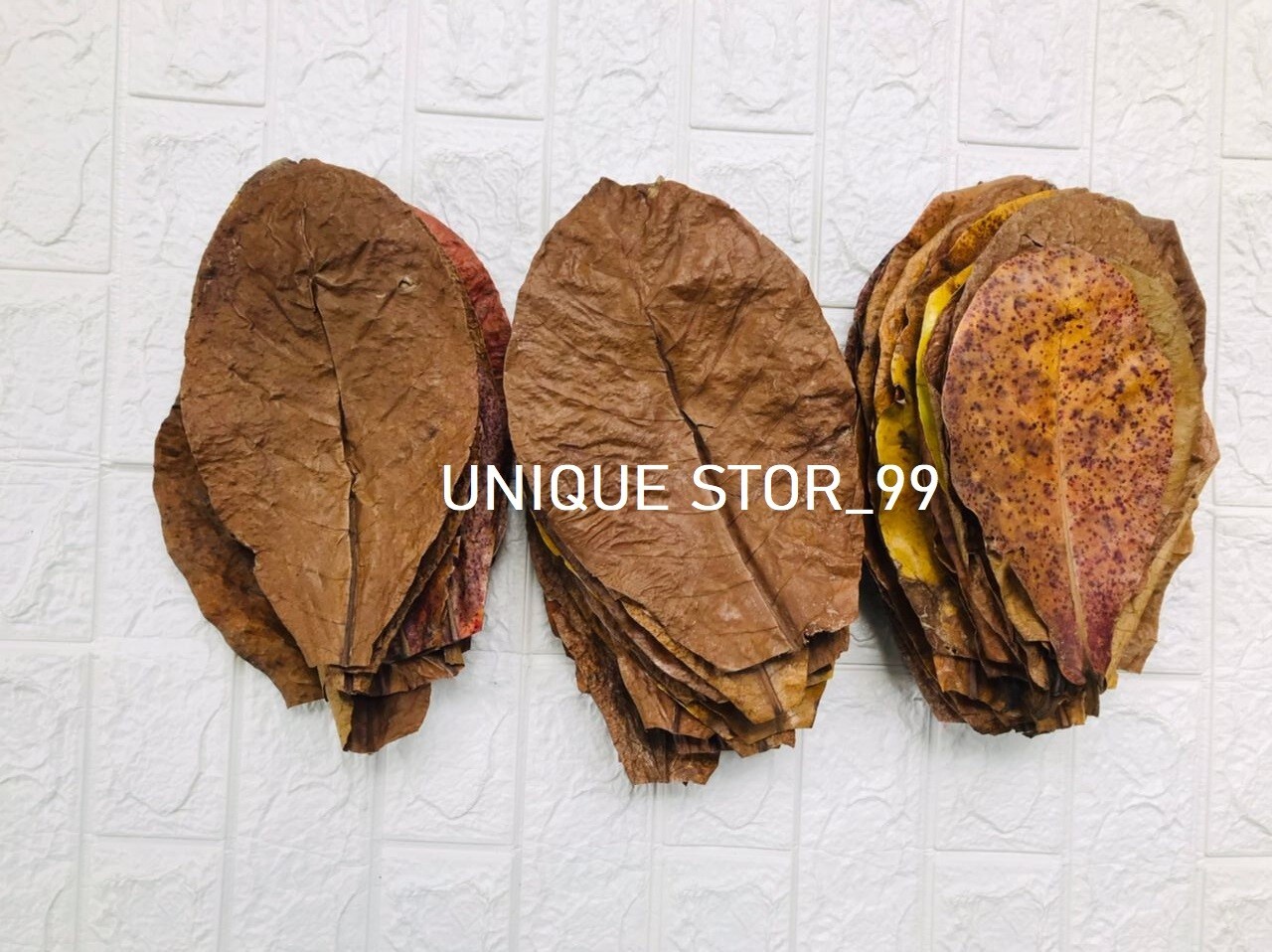 1000pcs Dried Catappa Ketapang Leaves Shrimp Betta Fish Aquariums Care A+ Leaf