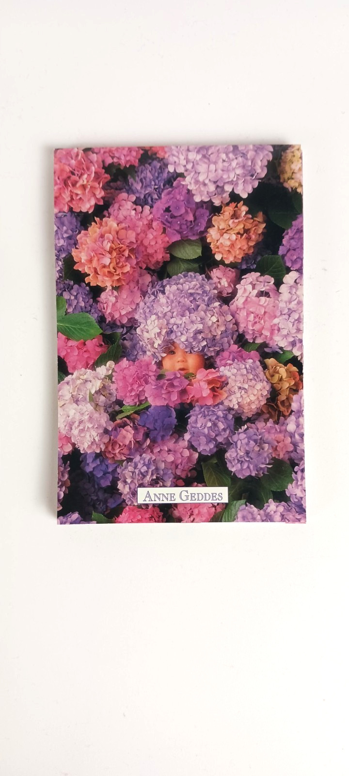 Lavander Memo Pads, Writing Pad, Stationery, Desk Notepad 5.75 x 3.75 In. 5 pack