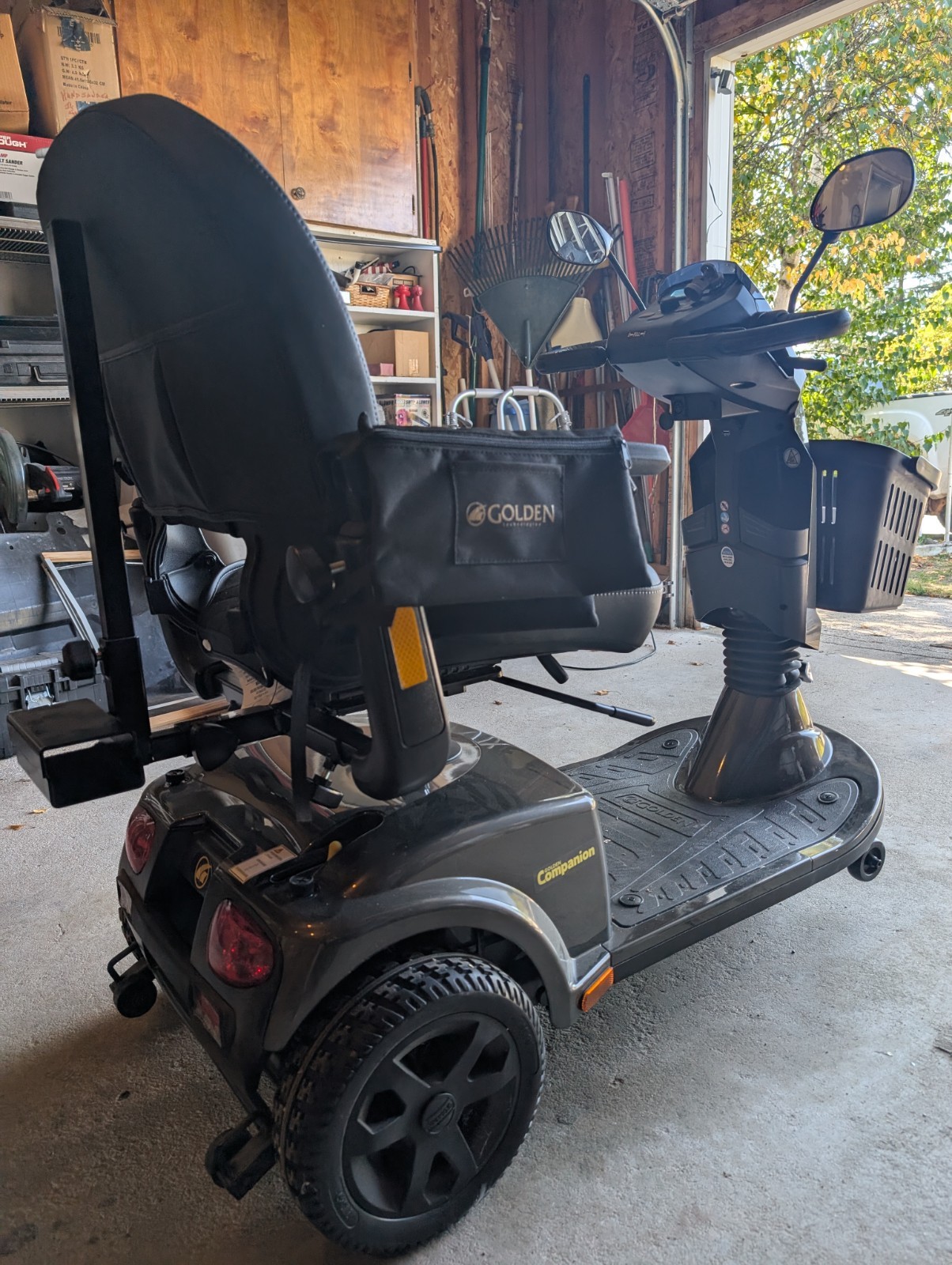 Golden Companion Electric Scooter
