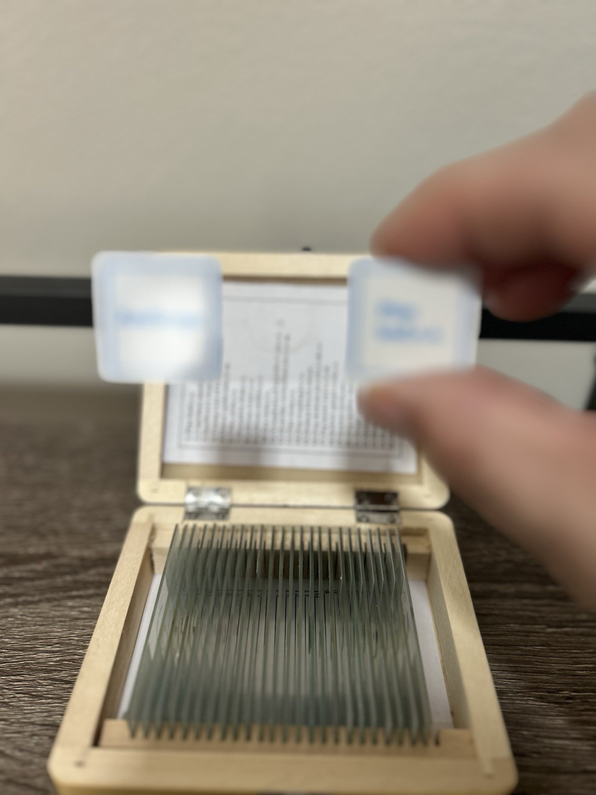 AmScope 25 Prepared Microscope Glass Slides With Wooden Box Specimens Microbio