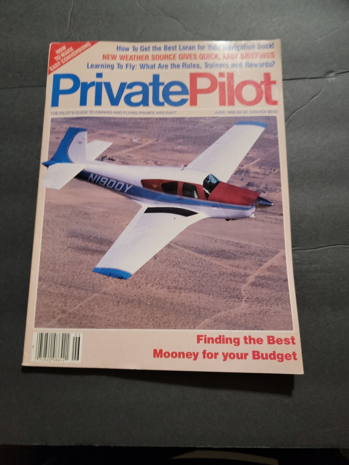 PRIVATE PILOT AVIATION MAGAZINE/LITERATURE JUNE 1989
