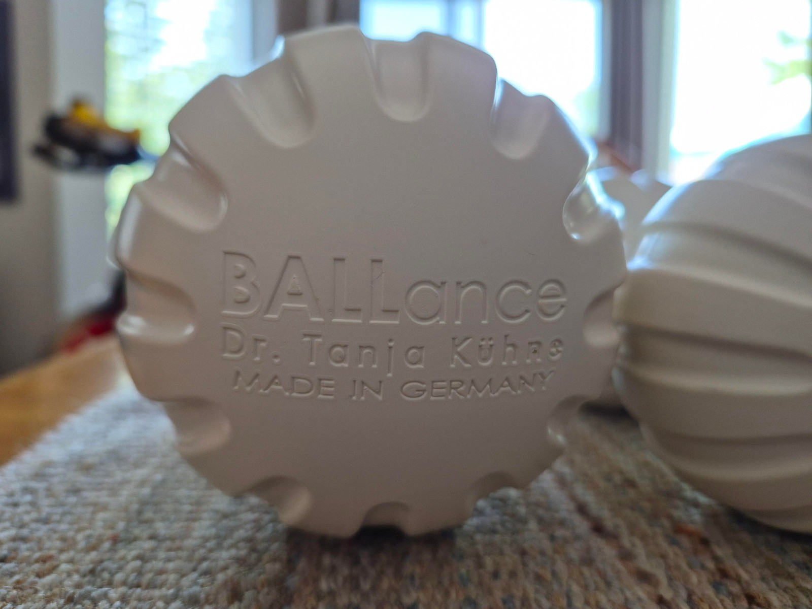 BALLance Balls Dr. Tanja Kühne Spine Fascia Posture Back Pain Exercise Tools EUC