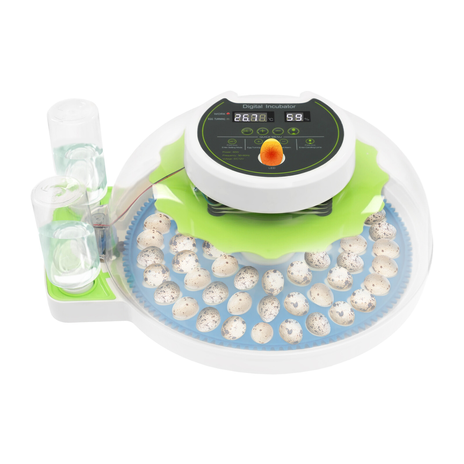 Modern LED Quail Egg Incubator for Hatching 60 Quail Eggs, Small Quail Brooder