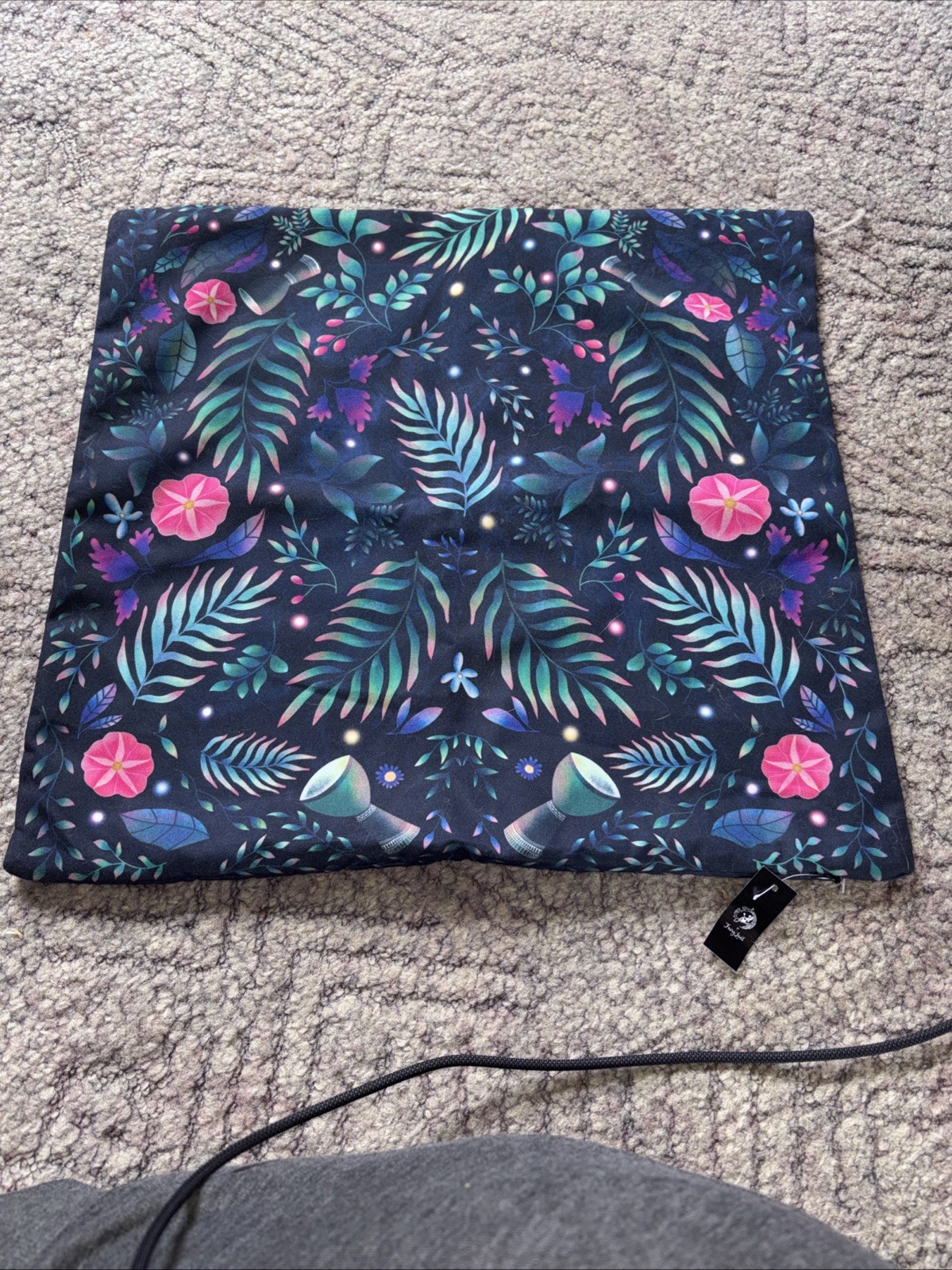 Fairyloot Raybearer Cushion Cover