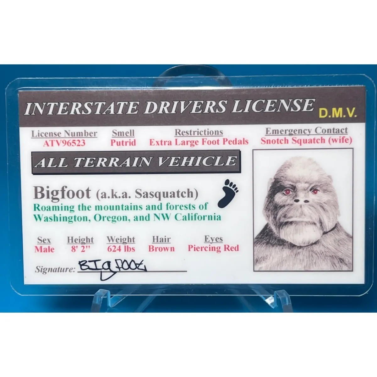 Bigfoot aka Sasquatch ID Interstate Drivers License Collectible Laminated
