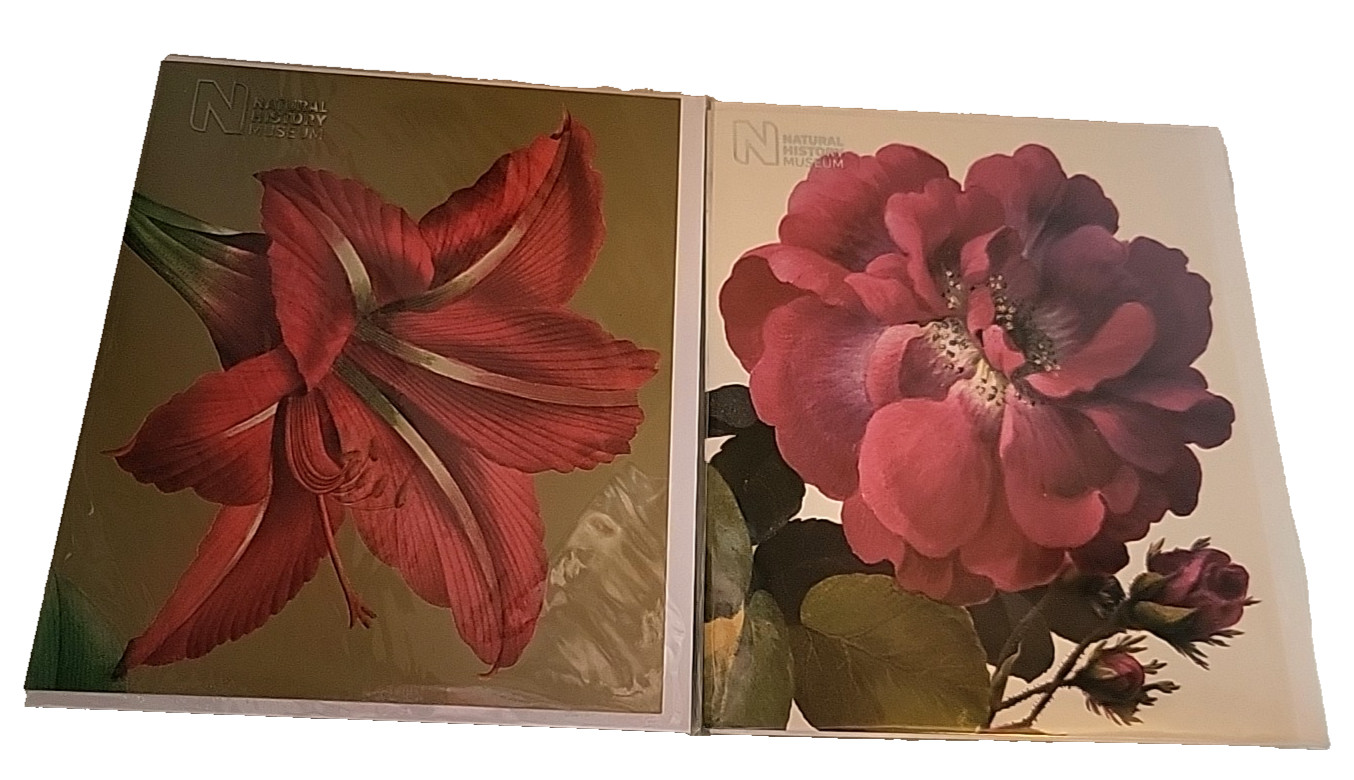 2 Vintage NOS Botanical Note Cards Moss Rose & Amaryllis Museum Natural History