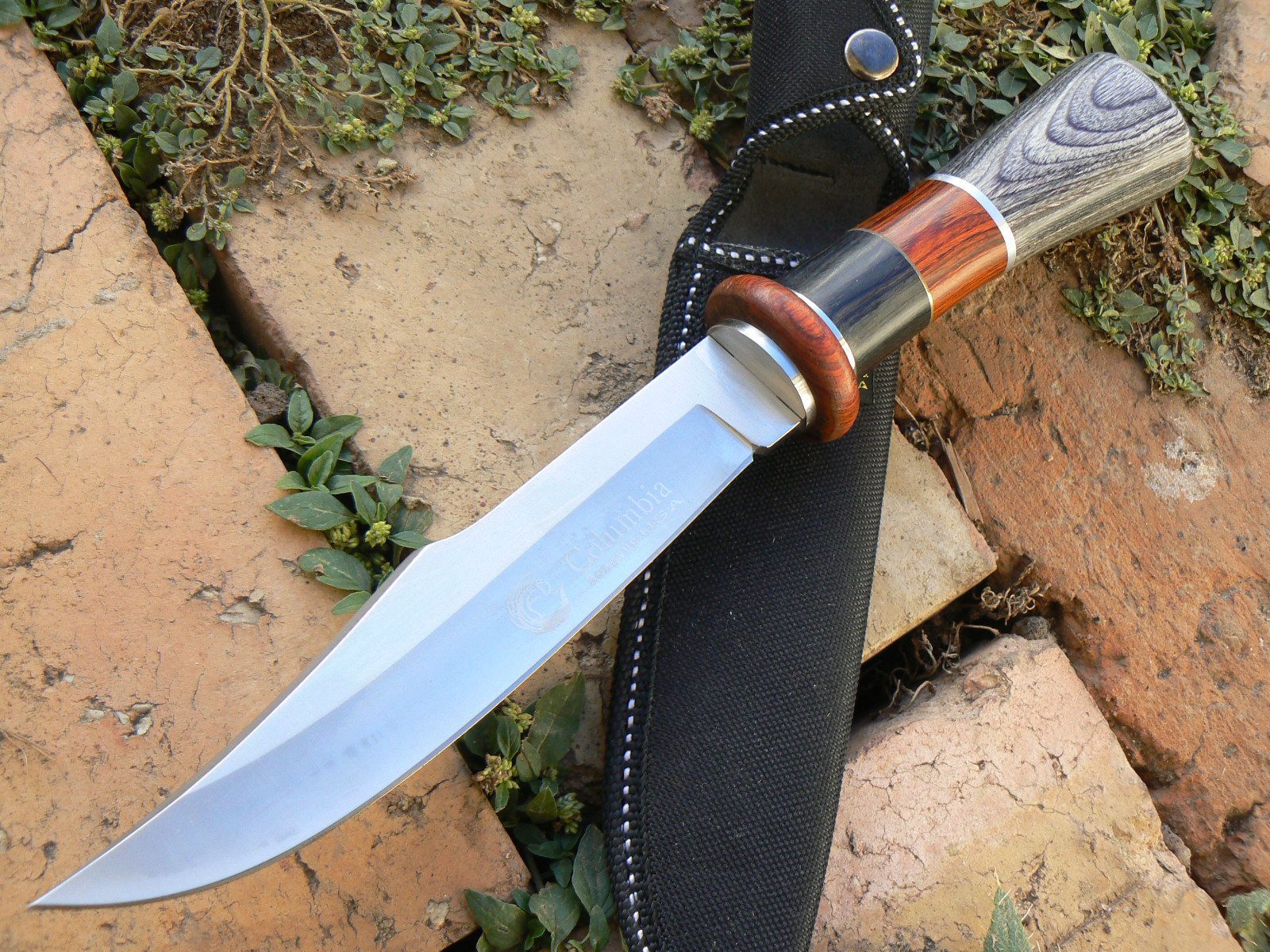 Hunting Survival Camping Military D08 Knife Pig Sticker Knives - Aussie Shipping