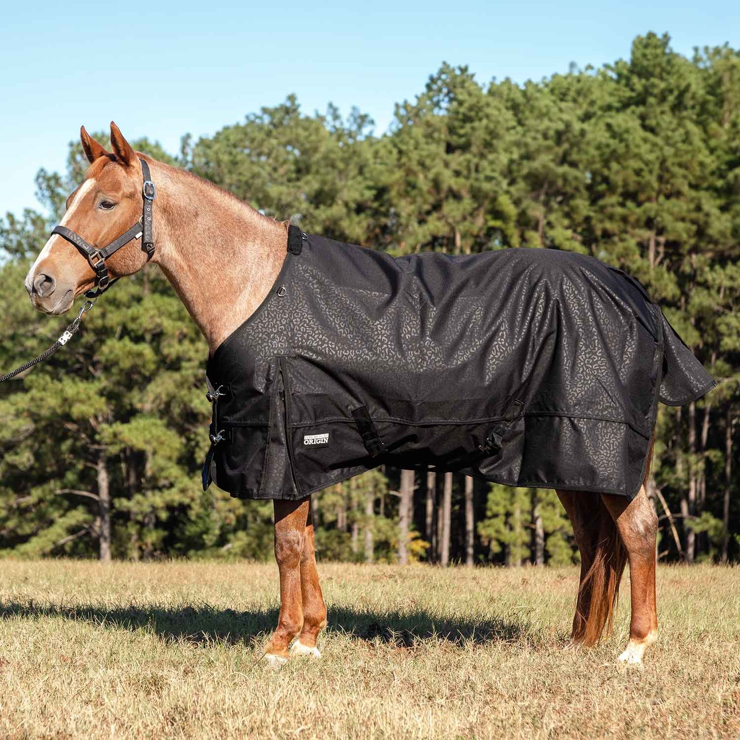 Poplar Head Origin 600 Denier Turnout Blanket, 240 Gram, Covert Cheetah
