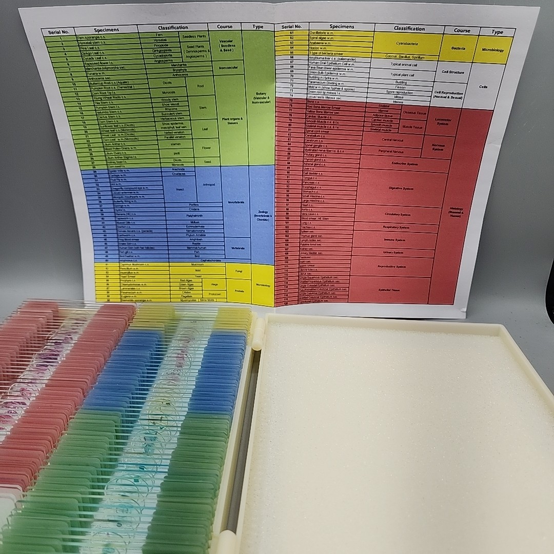 120 Lab-Grade Microscope Slides Set - Prepared Specimens for Kids & Adults, STEM