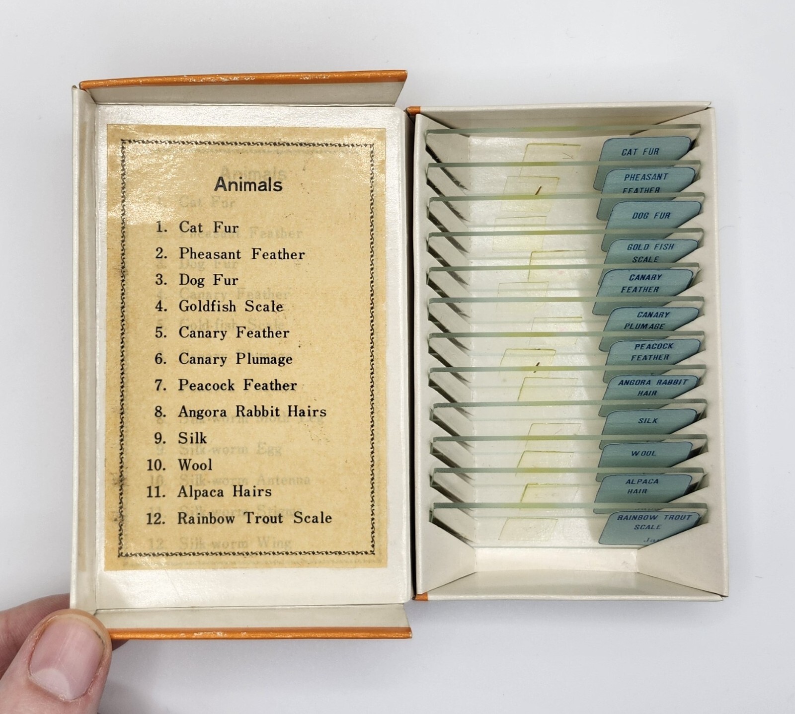 Vintage Sears Prepared Microscope Slides Animals (Made In Japan)
