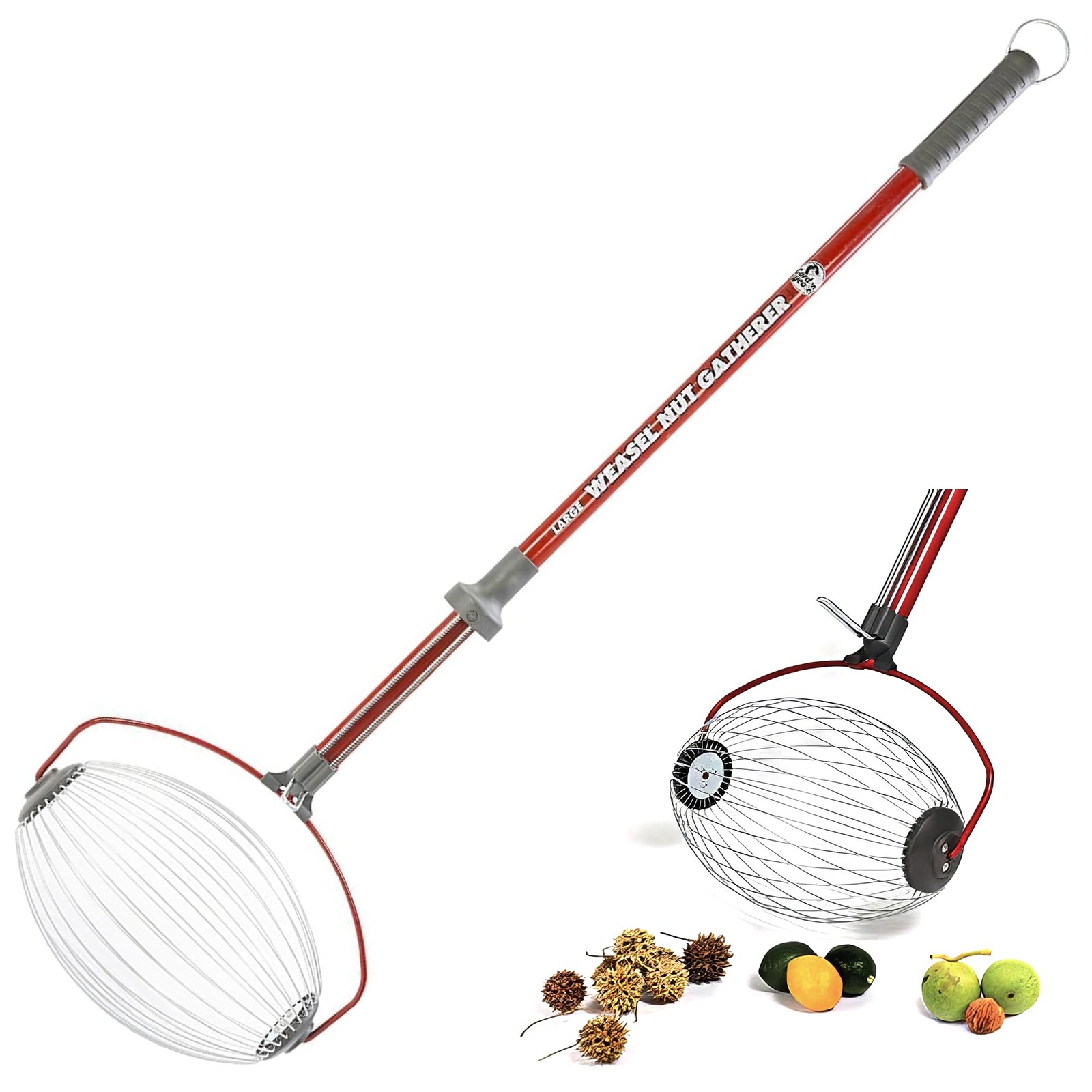Garden Weasel Large Nut Collector Roller for Walnuts Apples Tennis Balls | La...
