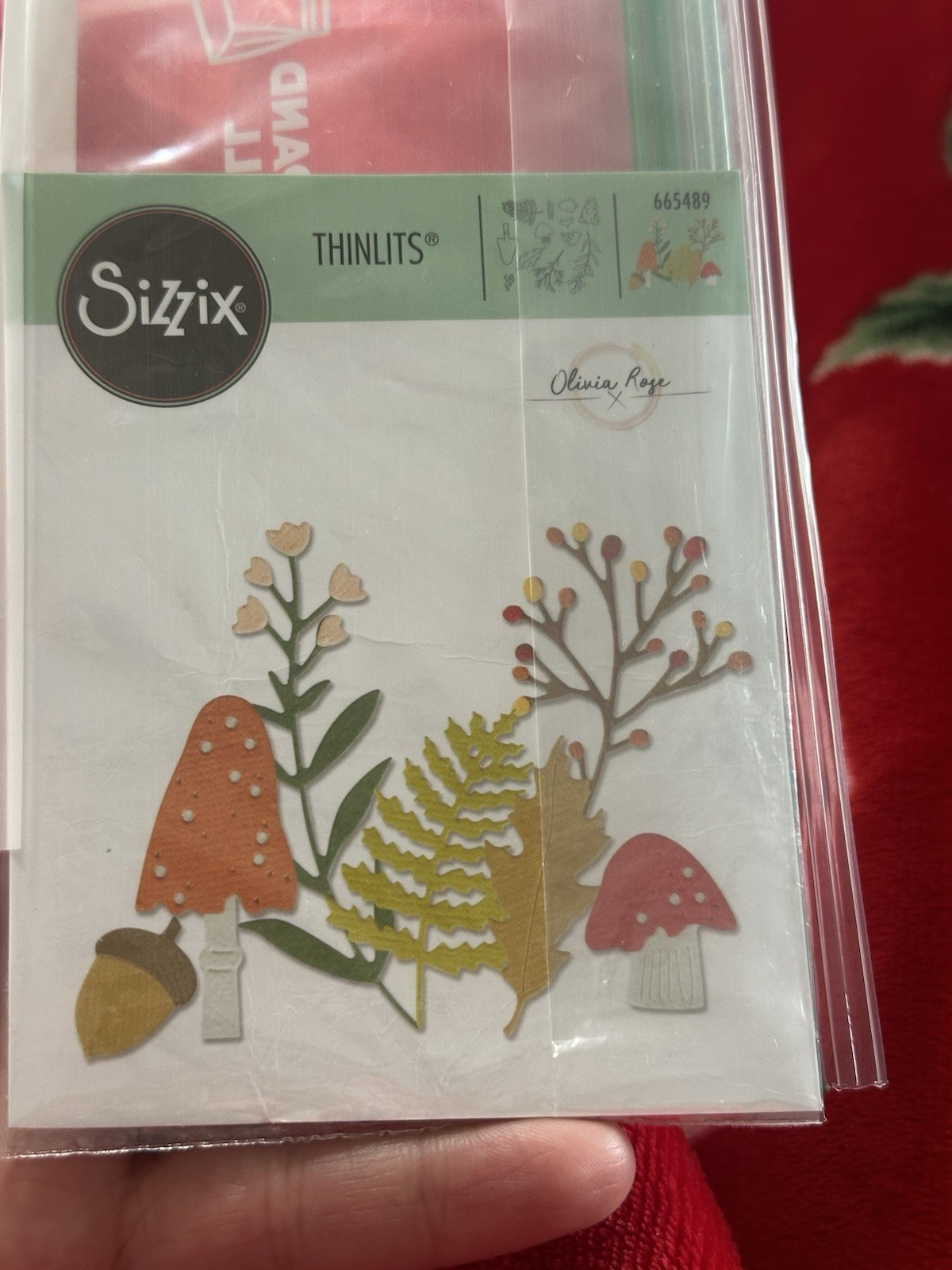 Retired Sizzix Thinlits WINTER NATURE Mushrooms #665489, Gently Used, 11pc