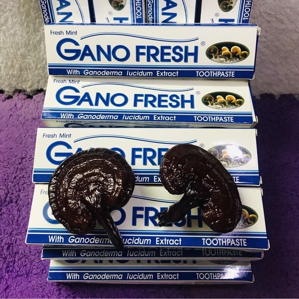 2 Boxes x 150g GANO EXCEL GANO FRESH TOOTHPASTE GANODERMA Free Shipping