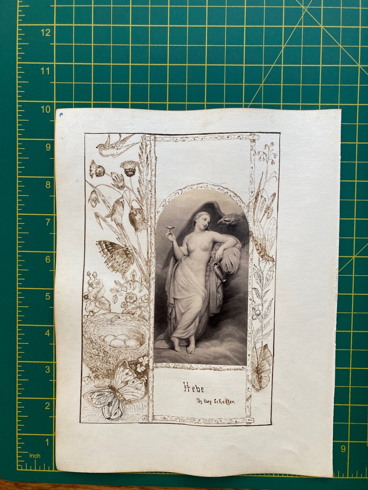 Victorian pen and ink border work around art print Herbe Scheffer