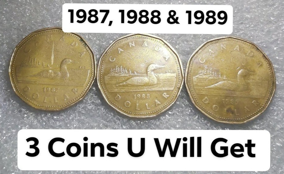 LOT of 3 1987, 1988, 1989 1 Dollar Canada Coin 1st to 3rd year of Loonie release