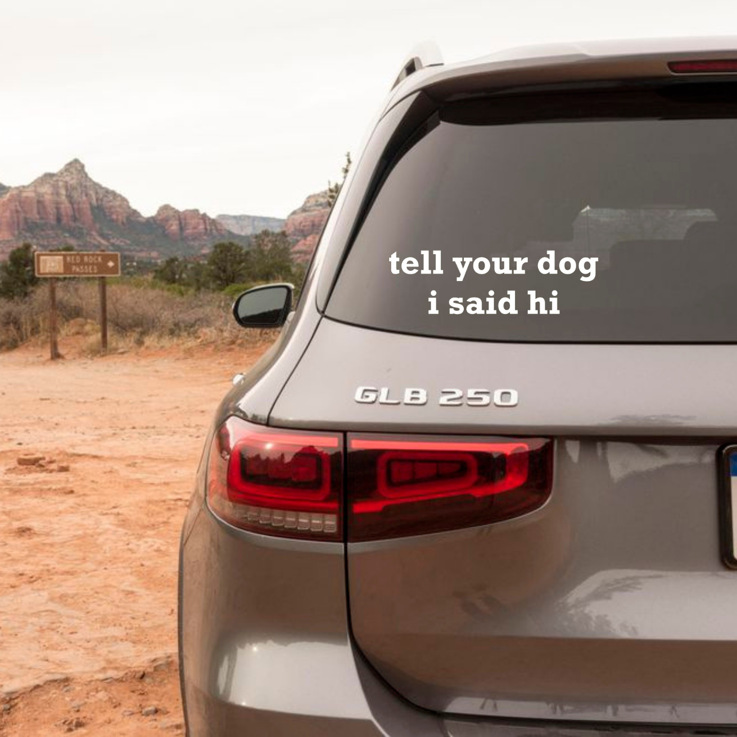 Tell Your Dog I Said Hi, Funny Car Sticker, Vinyl Decal, Laptop Sticker, Dog Mom