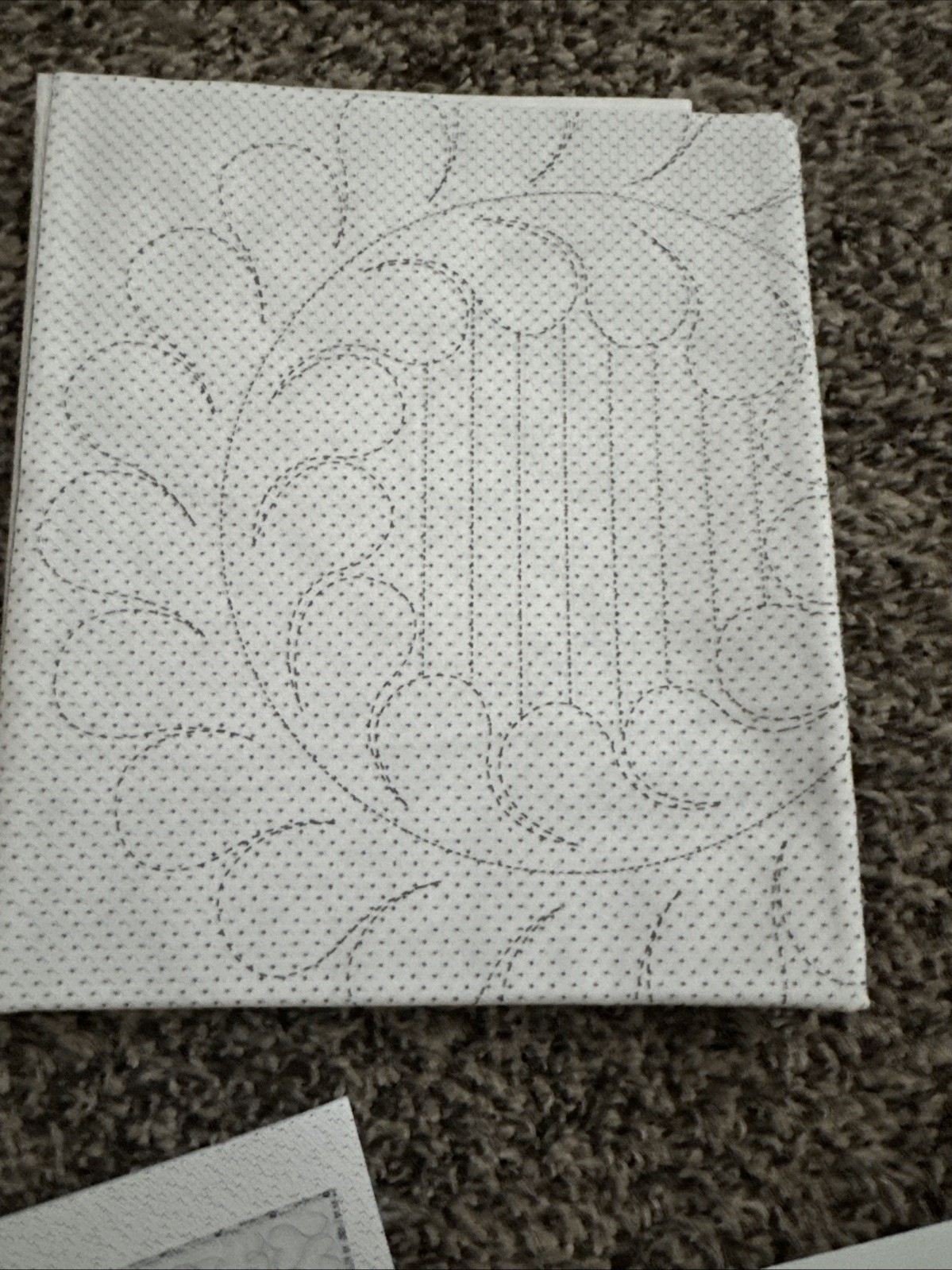 Skillbuilder Companion for Machine Quilters Renae Allen