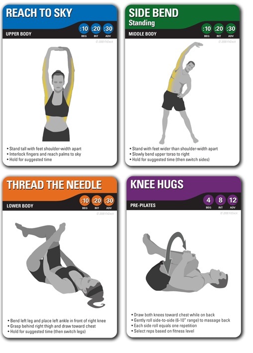 FITDECK Stretch 56 Instruction Cards Warm Up Reduce Injury Sports Exercise 01106