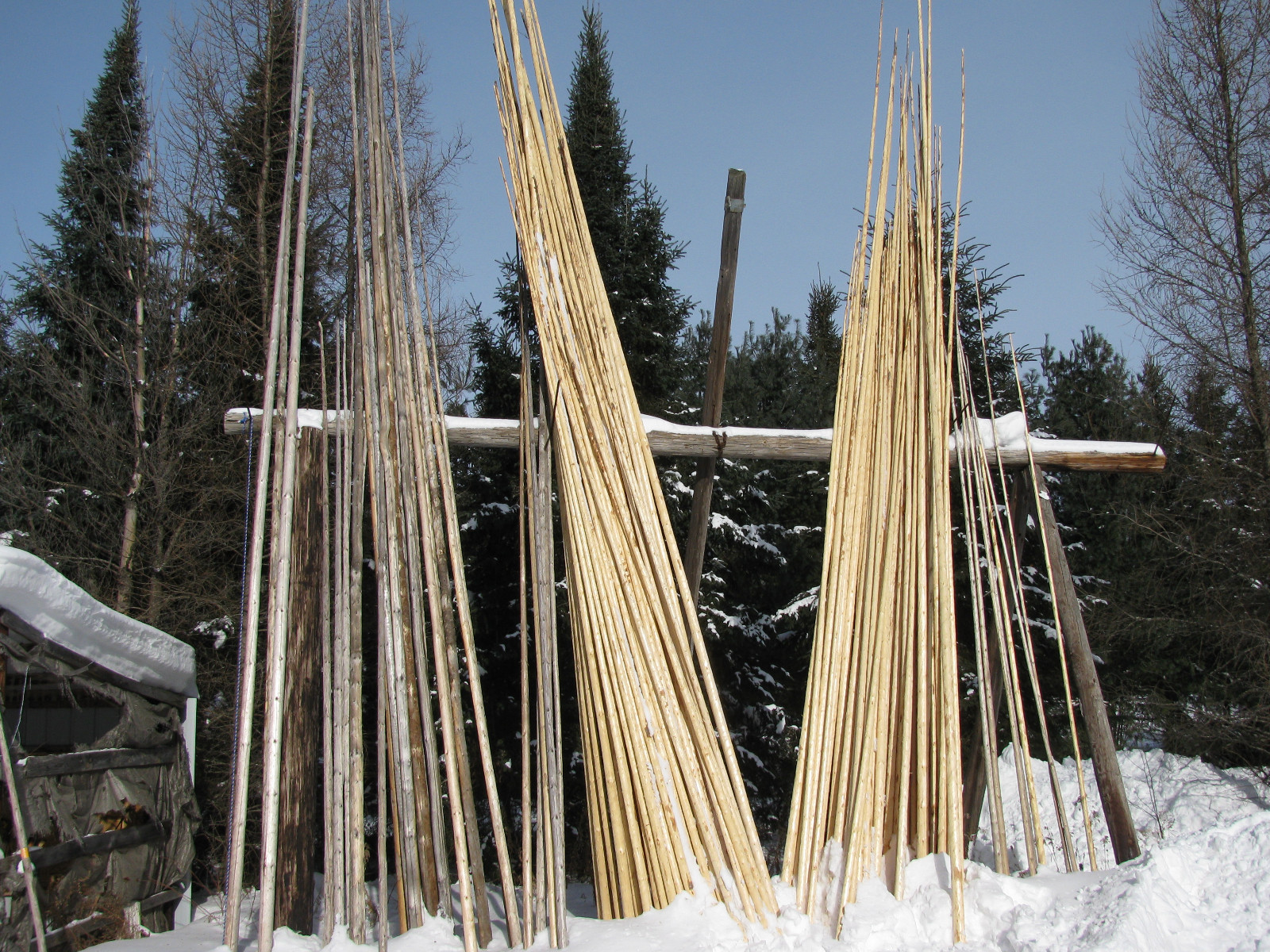 Hand Crafted Tipi Poles Teepee Poles Tepe Poles