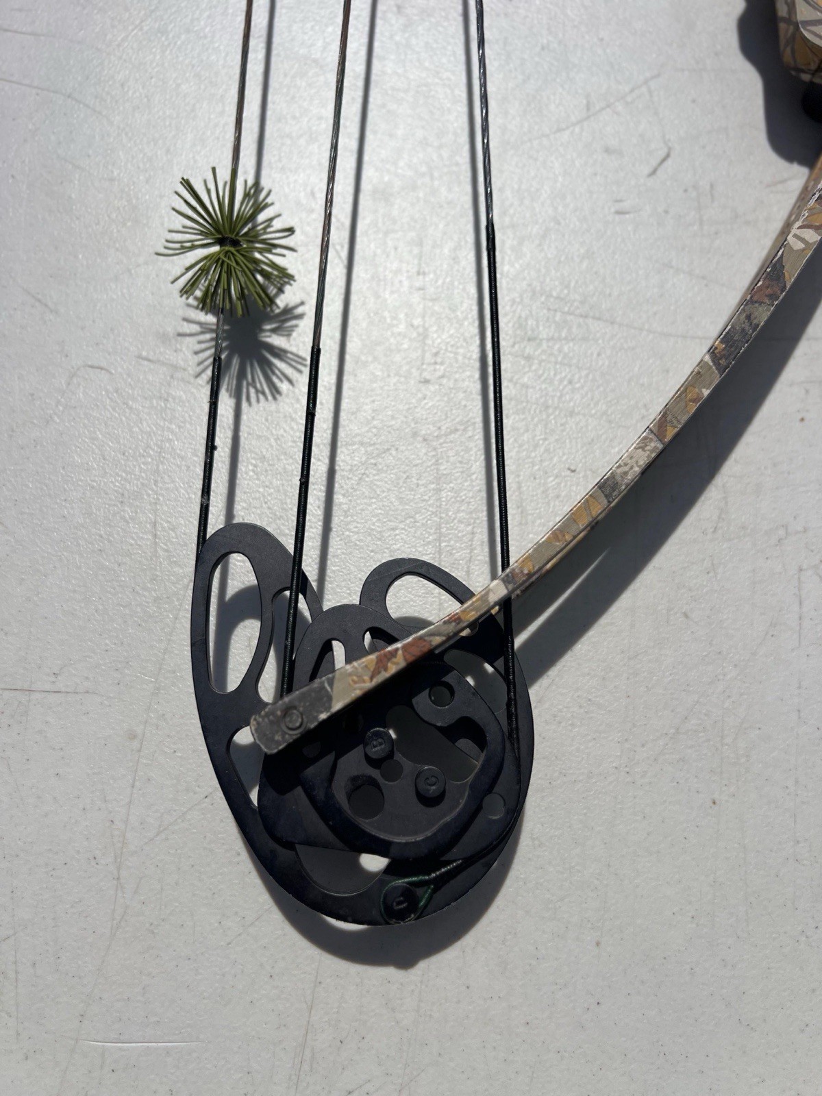 vintage compound bow “browing”