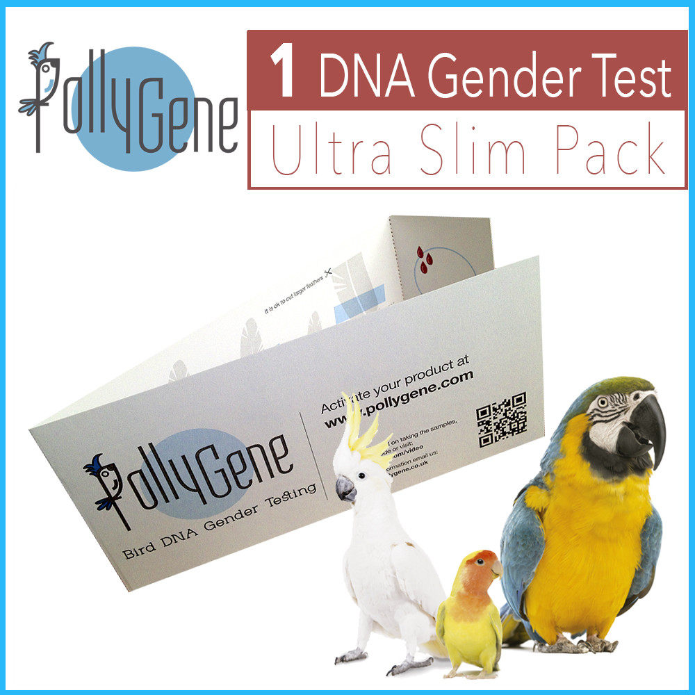 DNA Gender Test for Parrots, Lovebirds & Cockatoos | Bird Sexing Trusted USA lab