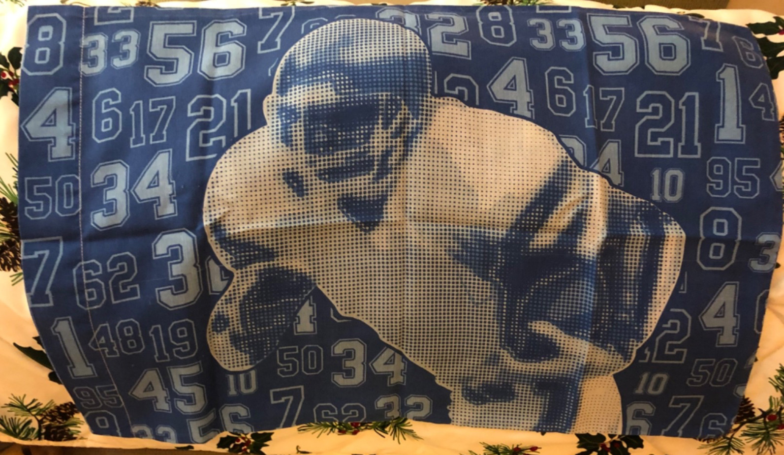 Dan River standard size blue football pattern kids pillowcase polyester blend